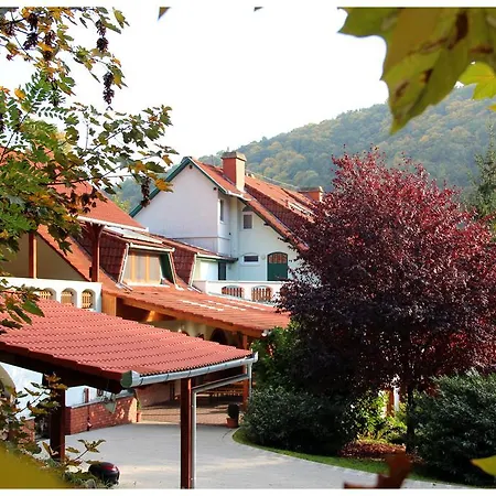 Gasthof Hetenyi Apartmanhaz Es Birtok 4*