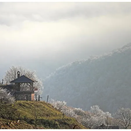 Hetenyi Apartmanhaz Es Birtok Guest house *